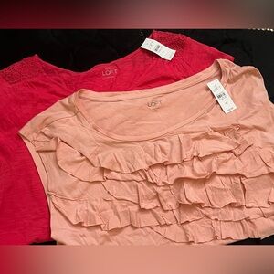 ANN TAYLOR LOFT Size XL Pink Top Bundle